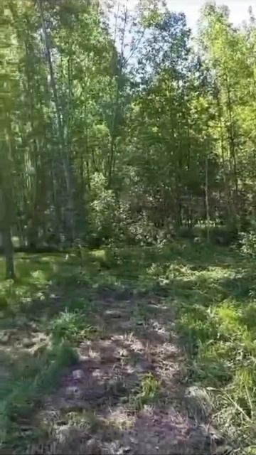 VID-20250517-WA0006.mp4