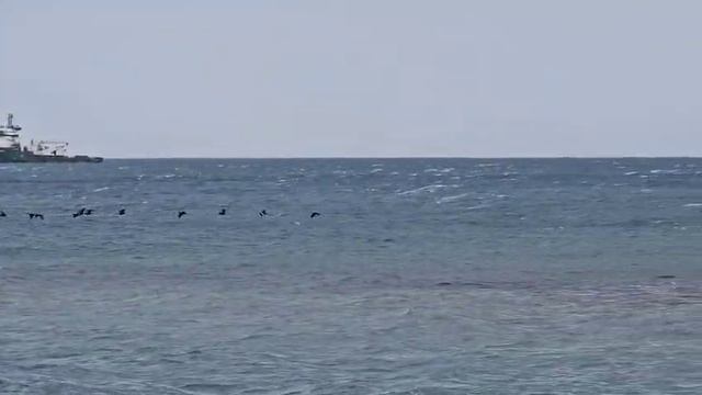 Сегодня очень теплое летнее утро, но море в Сукко как в песне о буревестнике