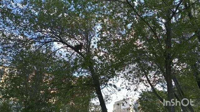 Доделала костюм, закупила продуктов к приезду гостей.