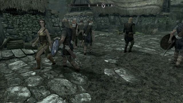 Skyrim. Что здесь происходит? #2