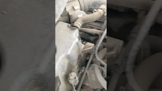 1000078014.mp4