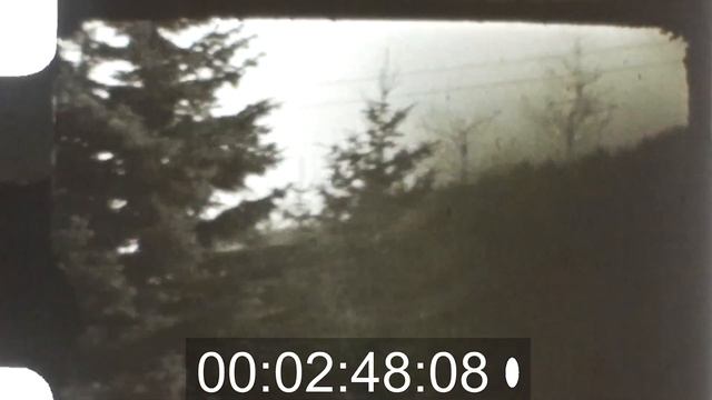На ски в планина (Витоша), България / Skiing at Vitosha mountain, Bulgaria N8 111