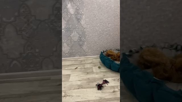 1000030883.mp4
