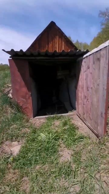 Экскурсия на пасеке. #пьёмчай с коллегой. #ПасекаКлимовых Алтай