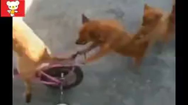 приколы