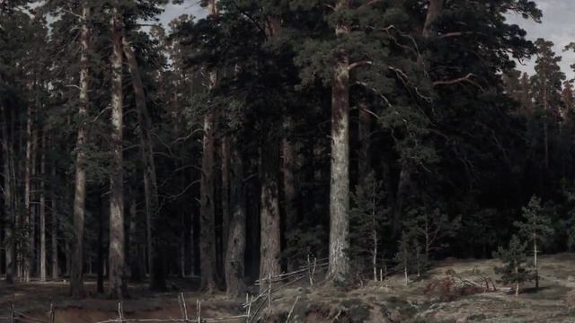 Ожившие картины [877c4fdde61ca02b2525b93bb23f7435] [720p]