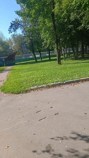 Соколиная гора часть 2