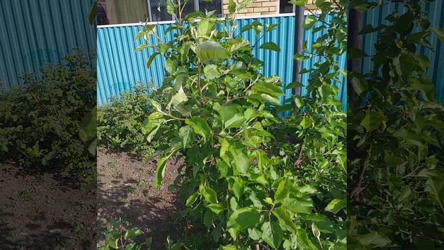 дорогие мои уезжайте с городов срочно Если есть возможность