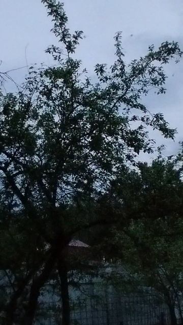 1000010121.mp4