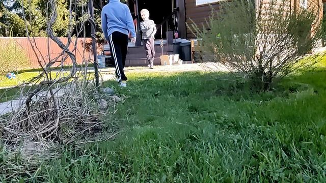 VID_20250517_165304.mp4