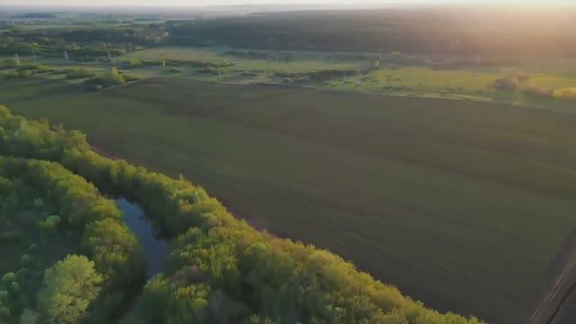 Чесночные поля АгроИнвестРФ 132 га Обзор полей Чеснок 2025