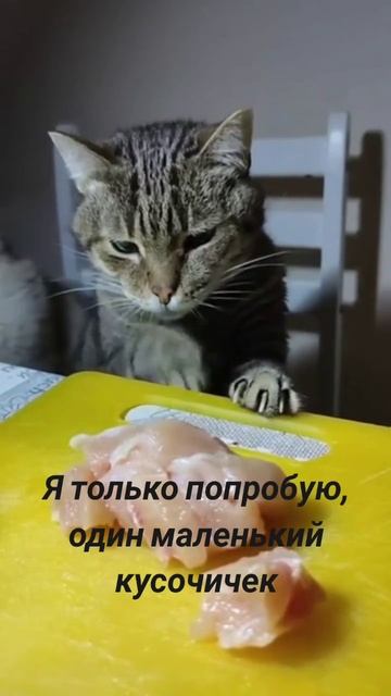 Один мааааленький кусочичек