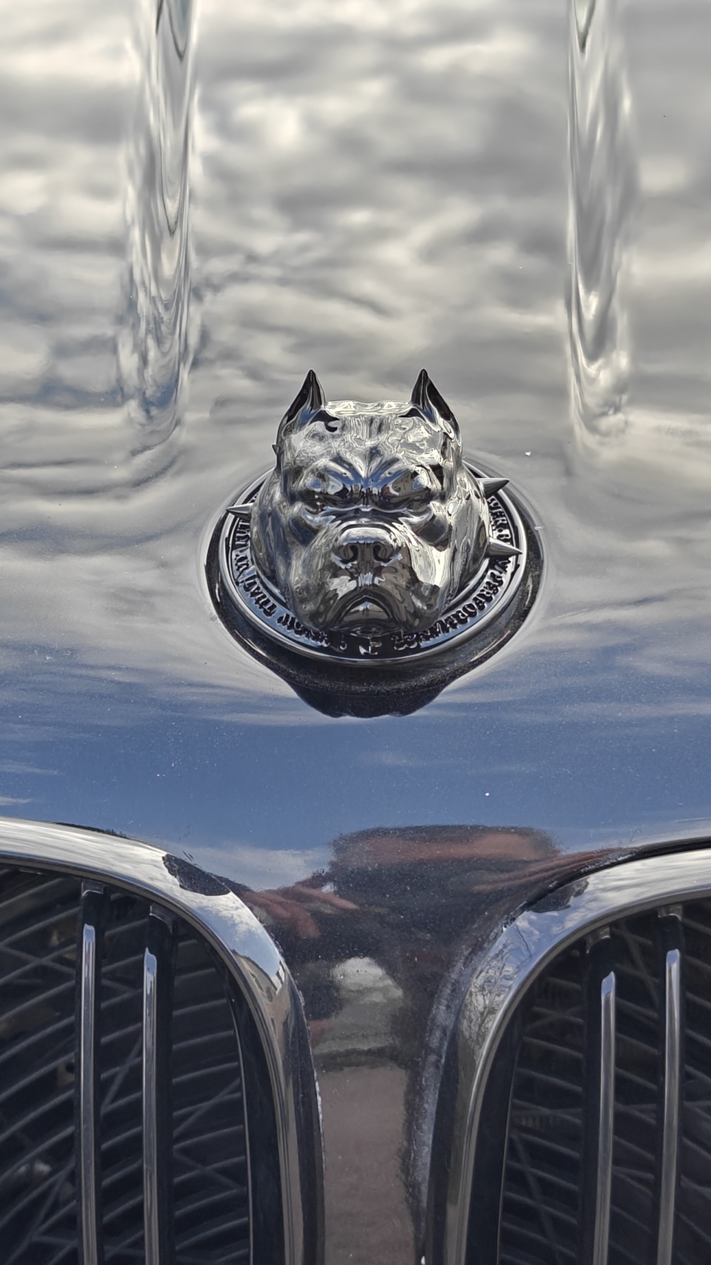 Led птф BMW x5 e53