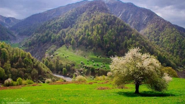 ПУСТЬ РАДОСТЬ ВО СВЕТЕ, ПУСТЬ РАДУЕТ СЕРДЦЕ! Айгюн и Фарана