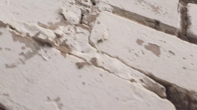 20250516_113811