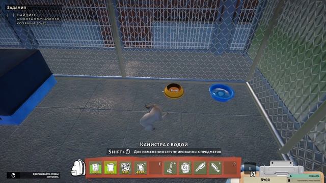Animal Shelter |  Фотосессия для пристройства – лови момент! | SailorGame