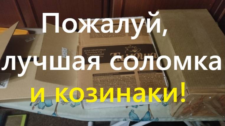 Вкусная солёная соломка Тимоша, завод Алёшина "Для папы", и хорошие козинаки.