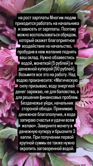 ♤♡◇♧