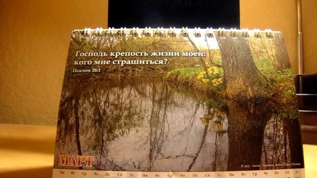 ОТВЕТЫ НА ВОПРОСЫ(Март 2019)Даниэль Нистар