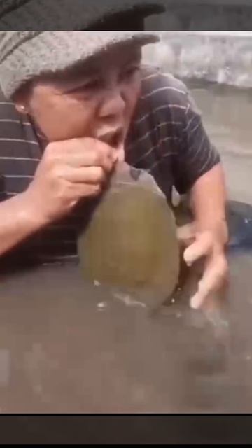 Поцелуй с черепахой