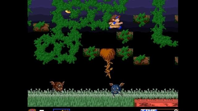 WARDNER (2025)  [Amiga 1200/4000] (AGA)