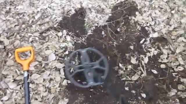 Нашел рассыпуху монет в лесу. Это Бинго !!!.