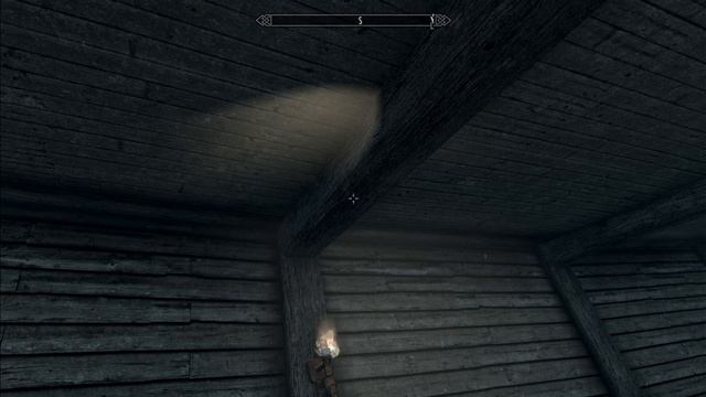 Skyrim. Потолок горит?