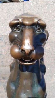 Грифон, Петербург. 19 мая 2024.