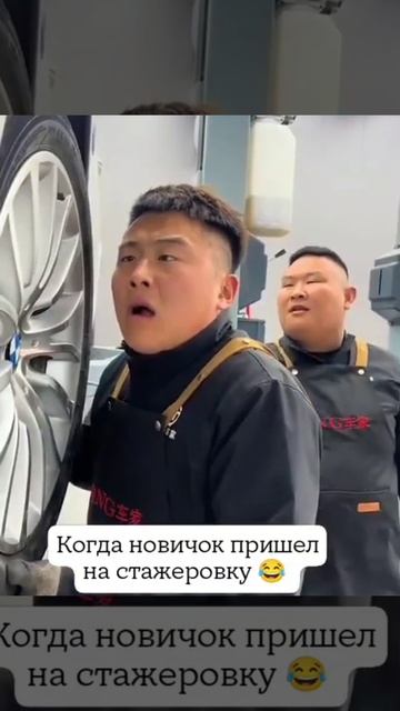 Когда новичок пришел на стажировку 😂