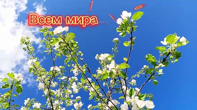 Утренний обход 🌿🤗❤️