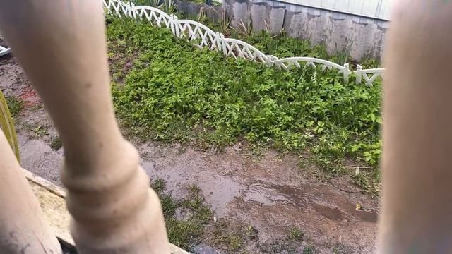 Rain