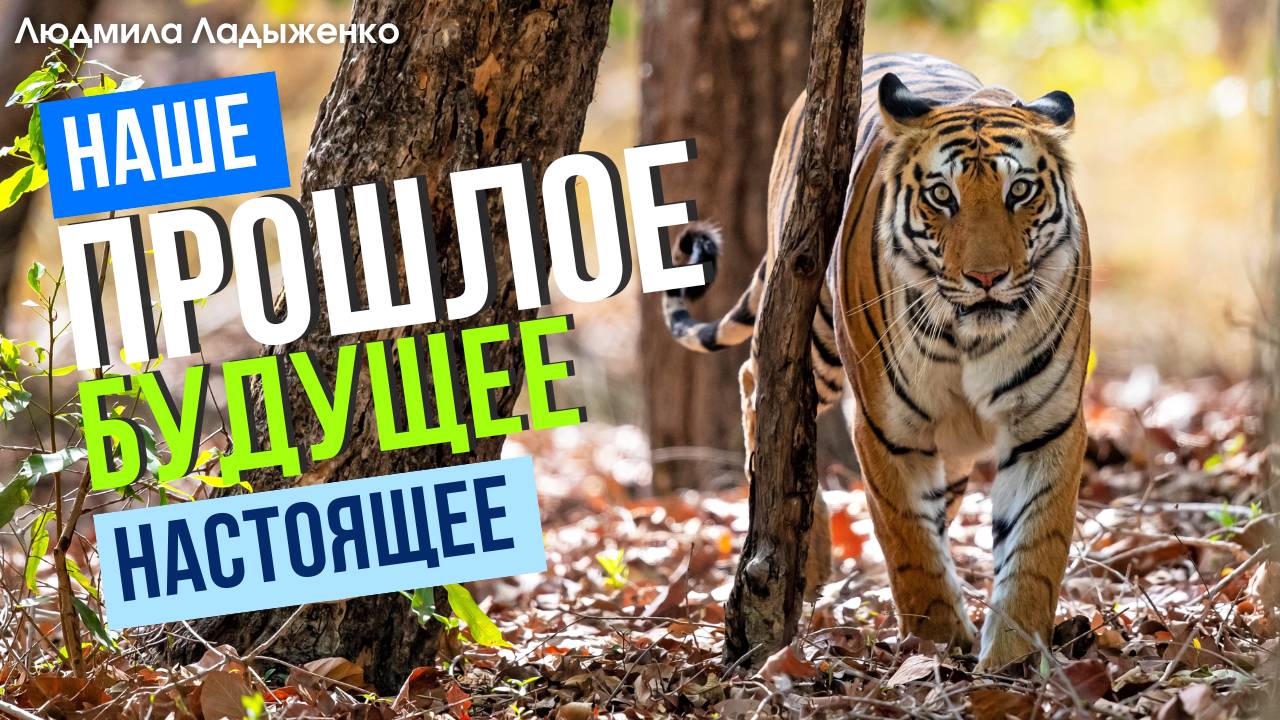 Прошлое, будущее и настоящее