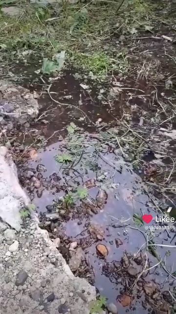 Ах, эти ручейки
