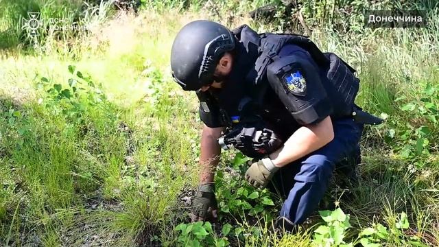 Розмінування на Донеччині: піротехніки знищили грана?