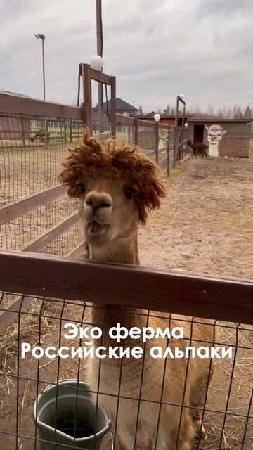 Куда сходить в Москве кроме ВДНХ и Красной Площади?