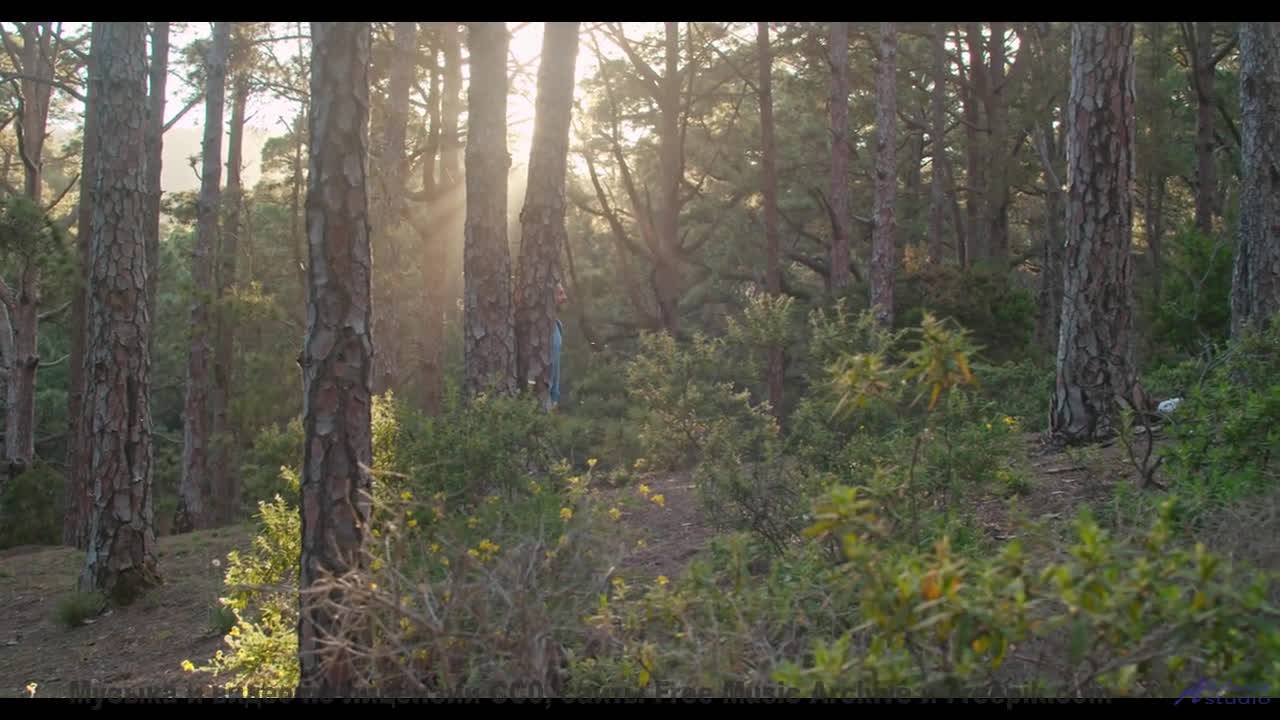 Вы не видели зиму такой, пока не услышали этот трек! - Pajaros (XLIX) -- opo -- Estudios Indigenifor