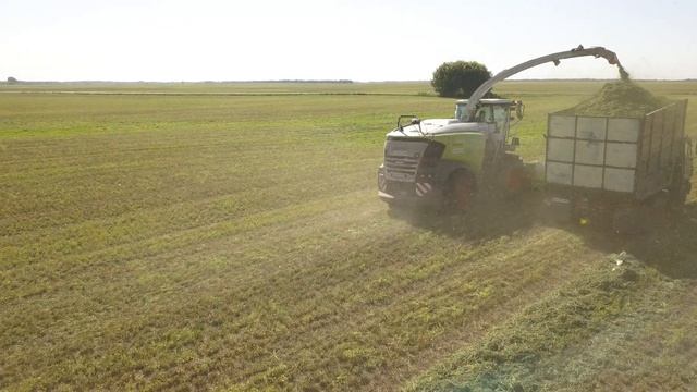 Заготівля силосу та сінажу Claas Jaguar at work