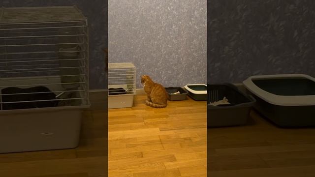 1000109885.mp4