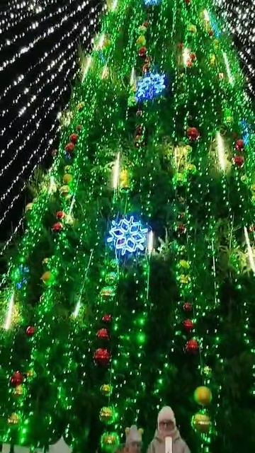 VID-20250103-WA0010