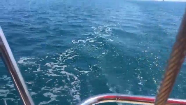 Прогулка на яхте в открытом море