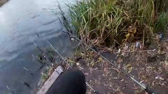 Рыбалка осенью ( конец октября) Крупный карась на пружины с берега и на мормышку с лодки. My fishing