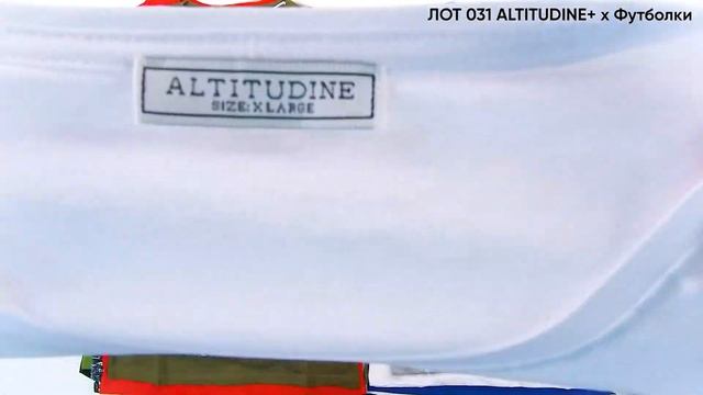 ЛОТ 031 ALTITUDINE МУЖСКИЕ ФУТБОЛКИ ЦЕНА 660 ₽/шт ЛОТ 31шт СТОИ?