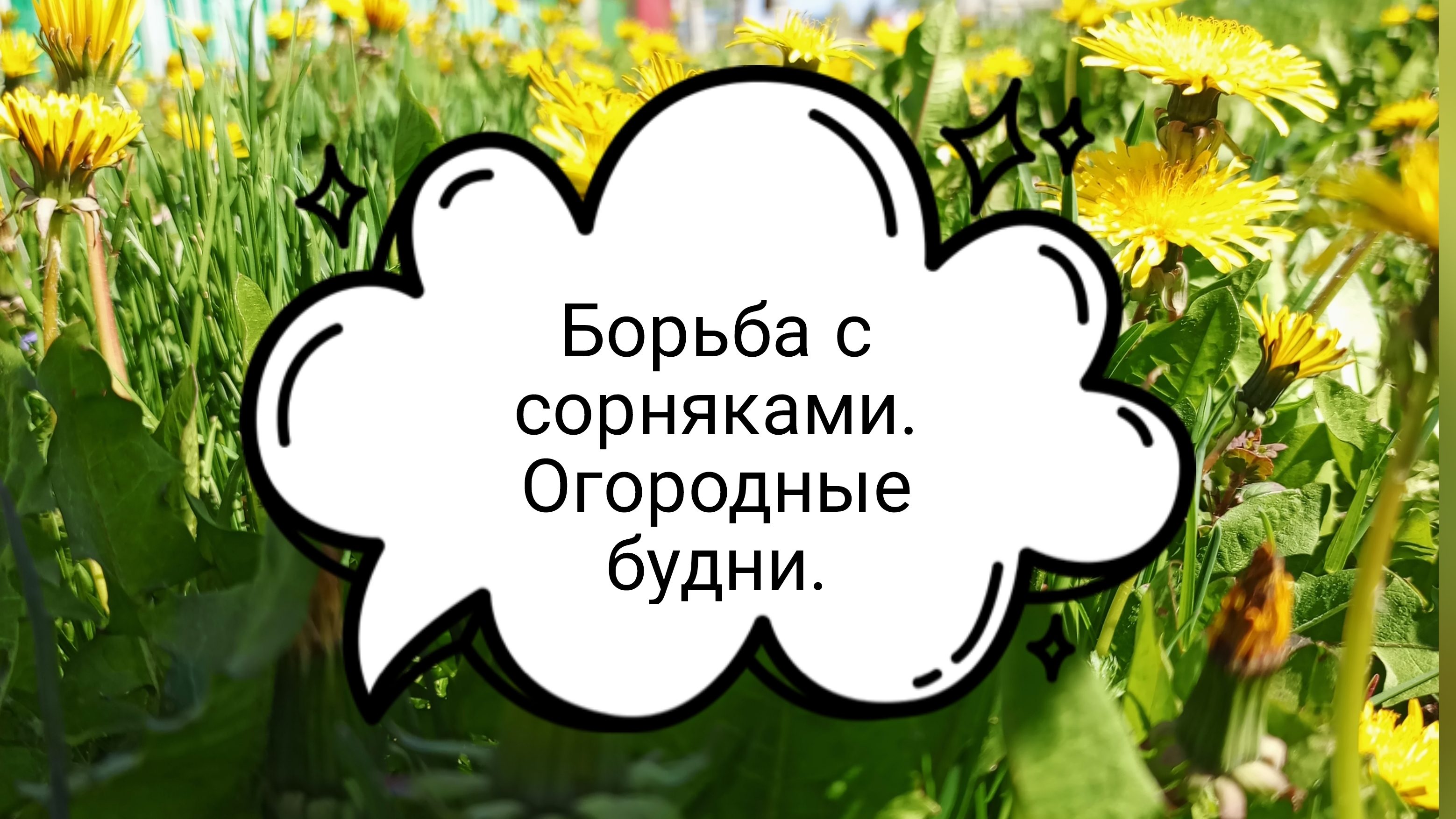 Борьба с сорняками.Огородные будни.