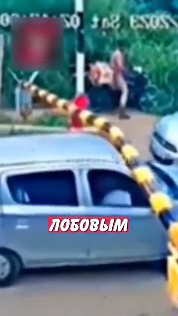 Новостничок (150)