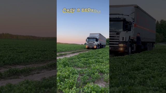 Выйду ночью в поле с конём… 🐴