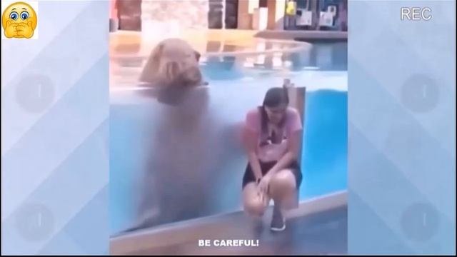 Всячинки