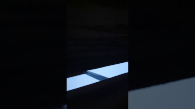 как стать тупым часть 6
