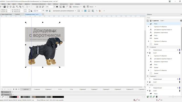 1000191790.mp4