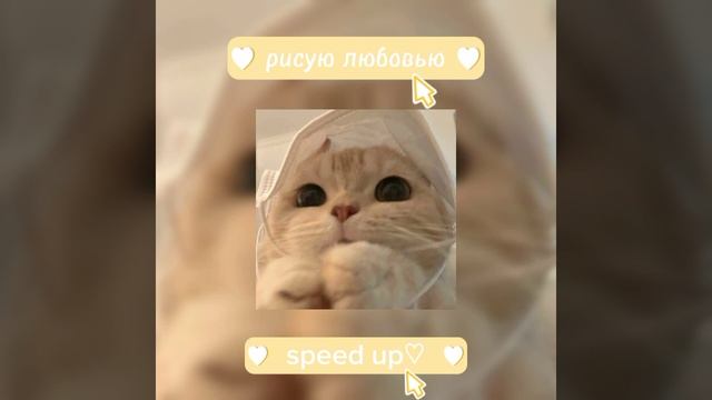 рисую любовью... (speed up) может кто то знает эту песню..