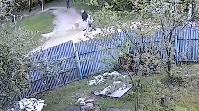 Собака покусала 11-летнего ребёнка в Нижегородской области